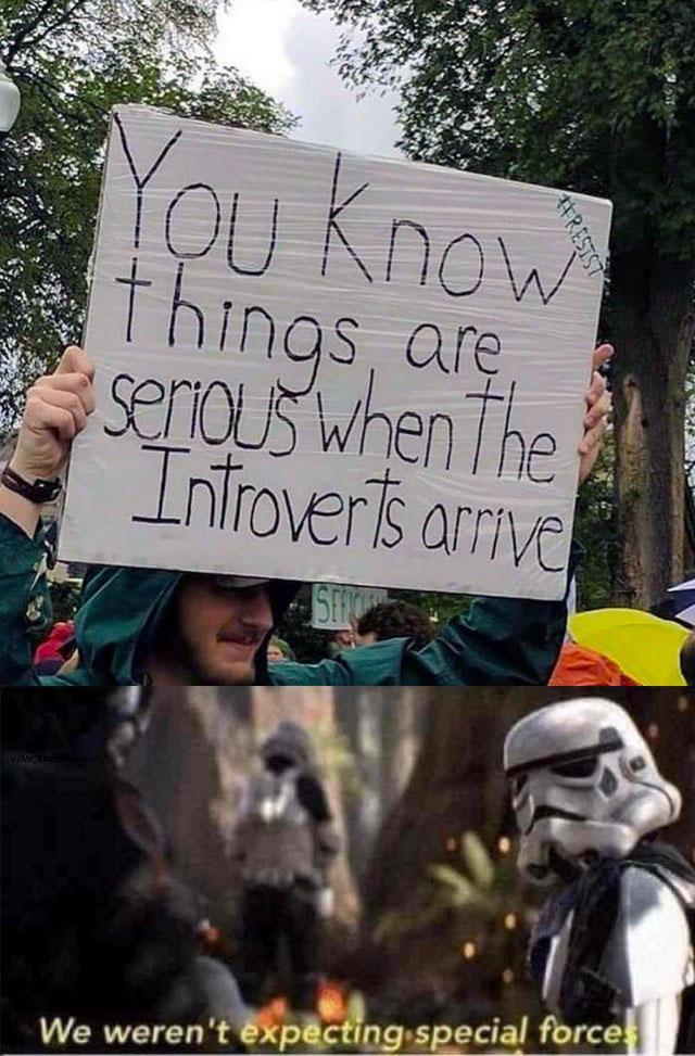 Things are serious when the introverts arrive - meme