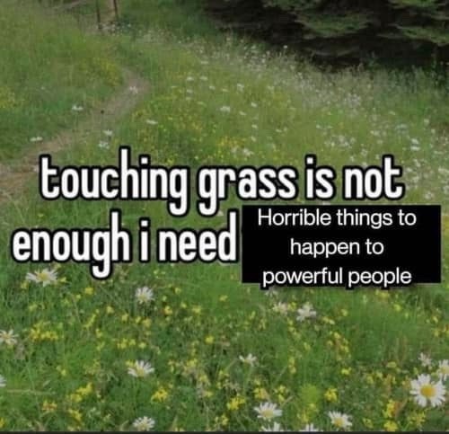 The best Touch Grass memes :) Memedroid