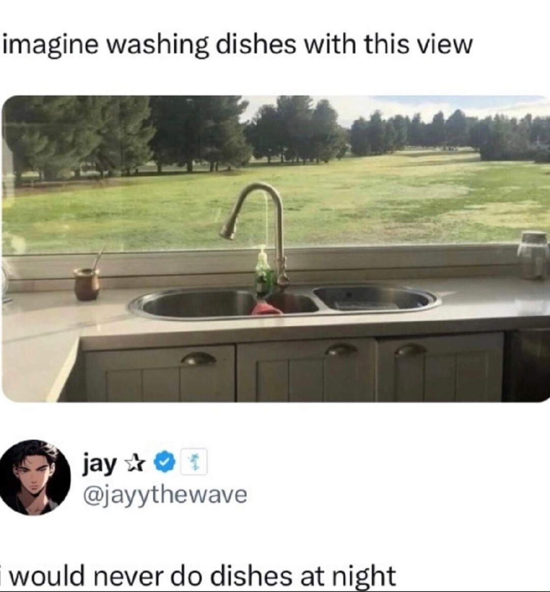 Yeah I'd wash dishes forever if this was the view - meme
