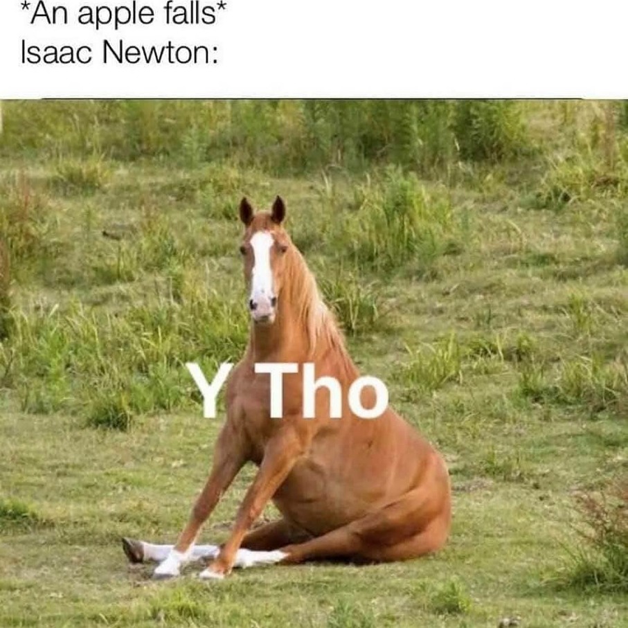 Fr... y - meme