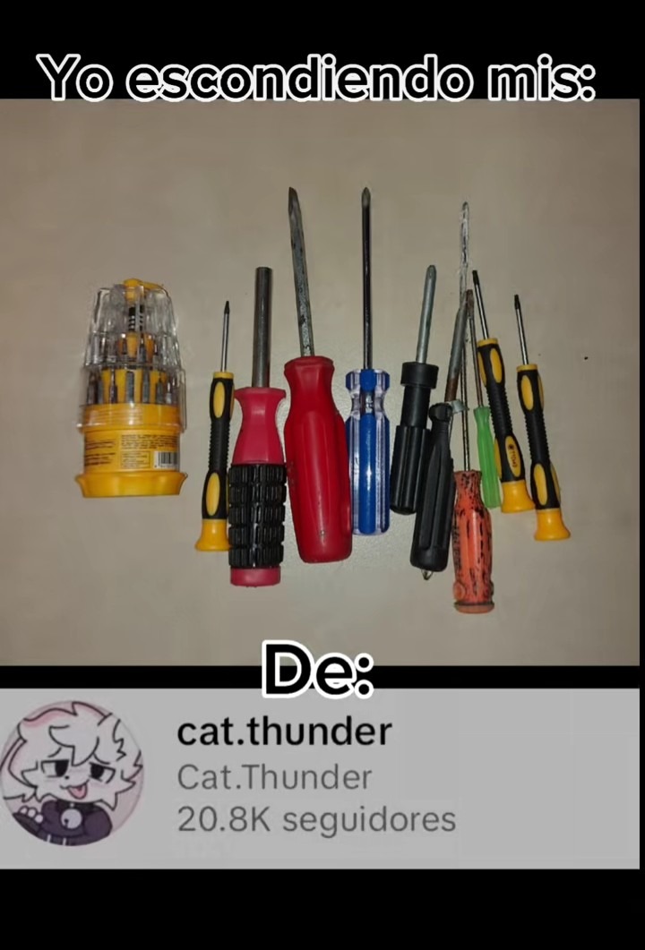 Den contexto de lo de cat thunder - meme