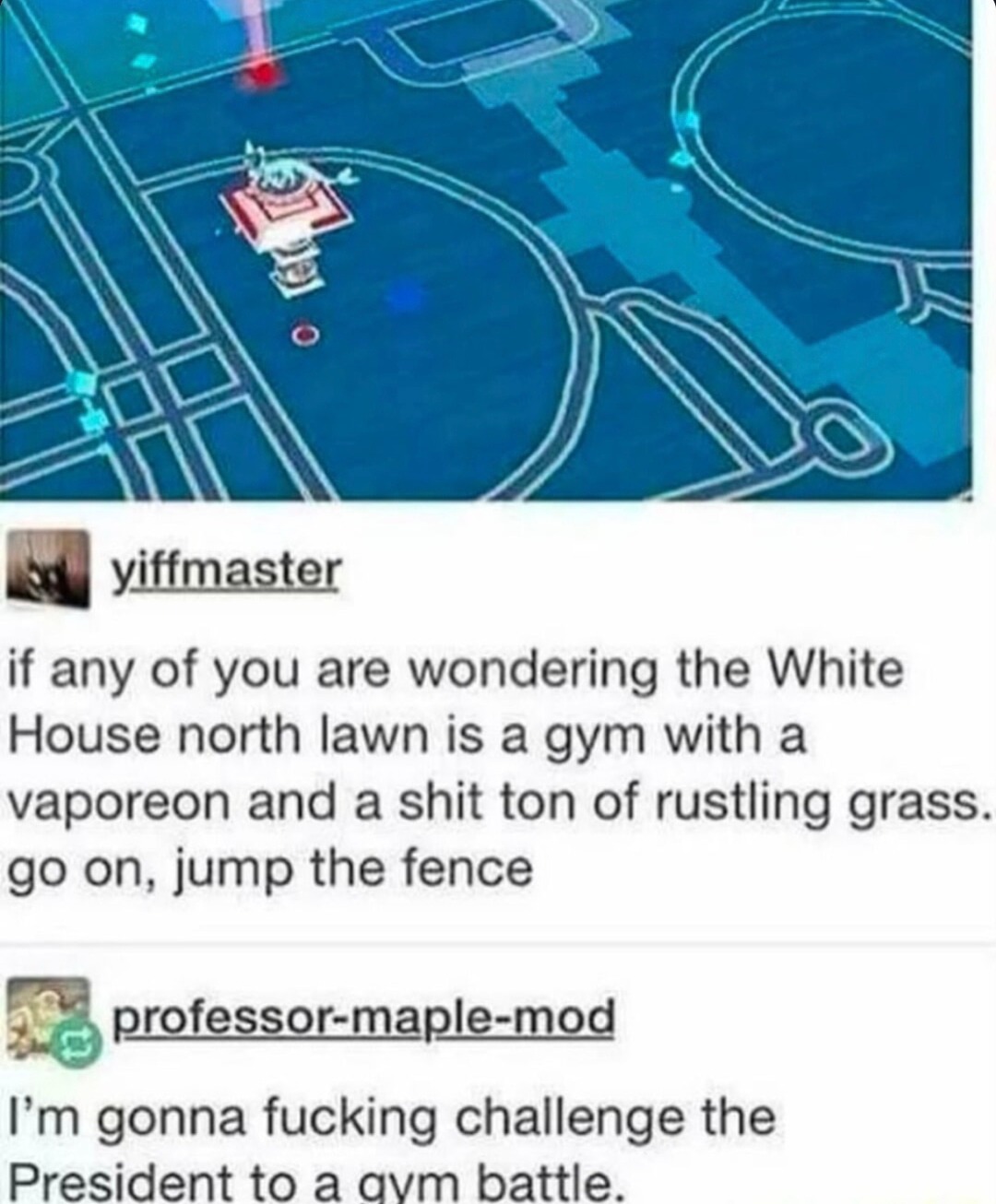 The White House lawn is a gym and I’m about to challenge the President - meme