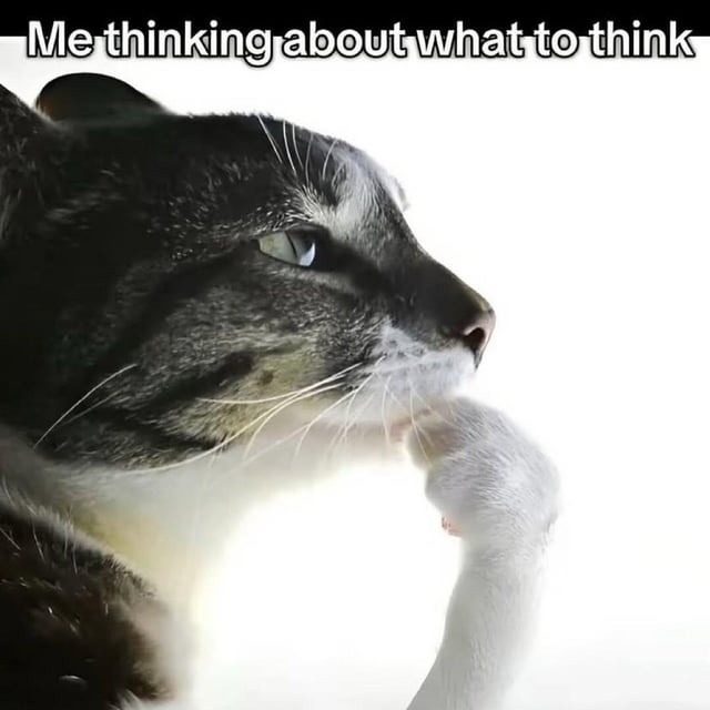 Me thinking about thinking about thinking - meme