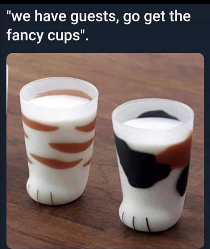Too fancy, the other fancy cups! *pulls out old Disney class cups* - meme