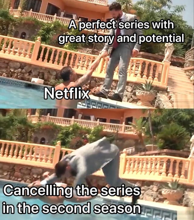 Netflix be like - meme