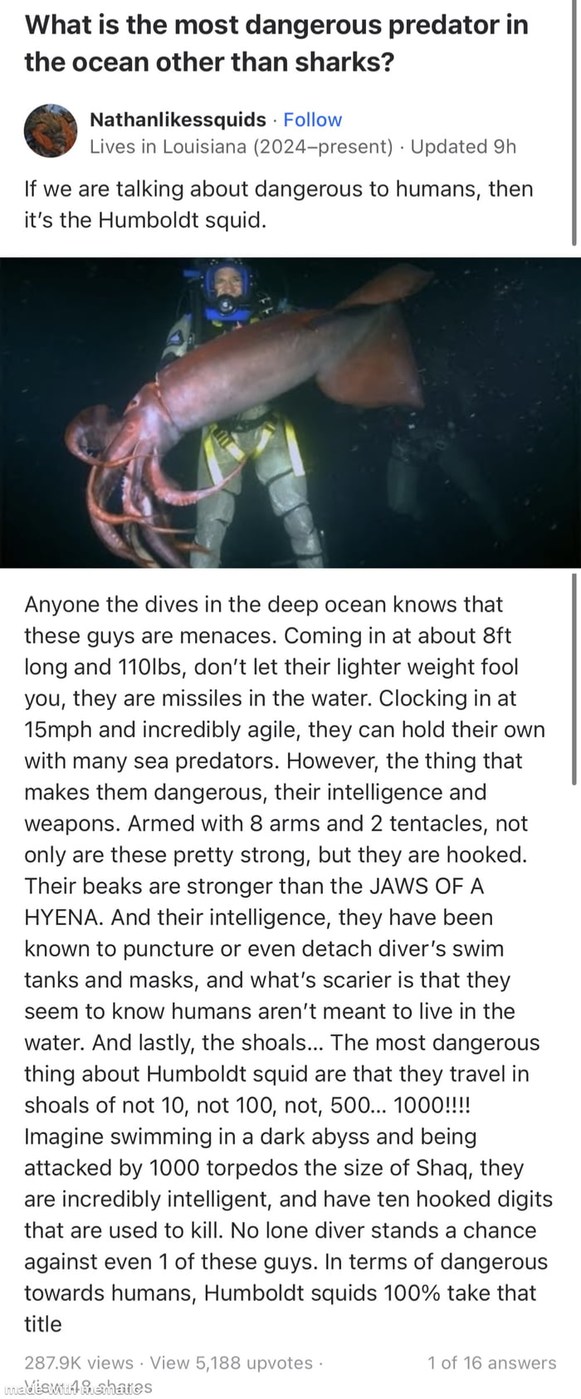 I already decided not to swim in the deep sea - meme