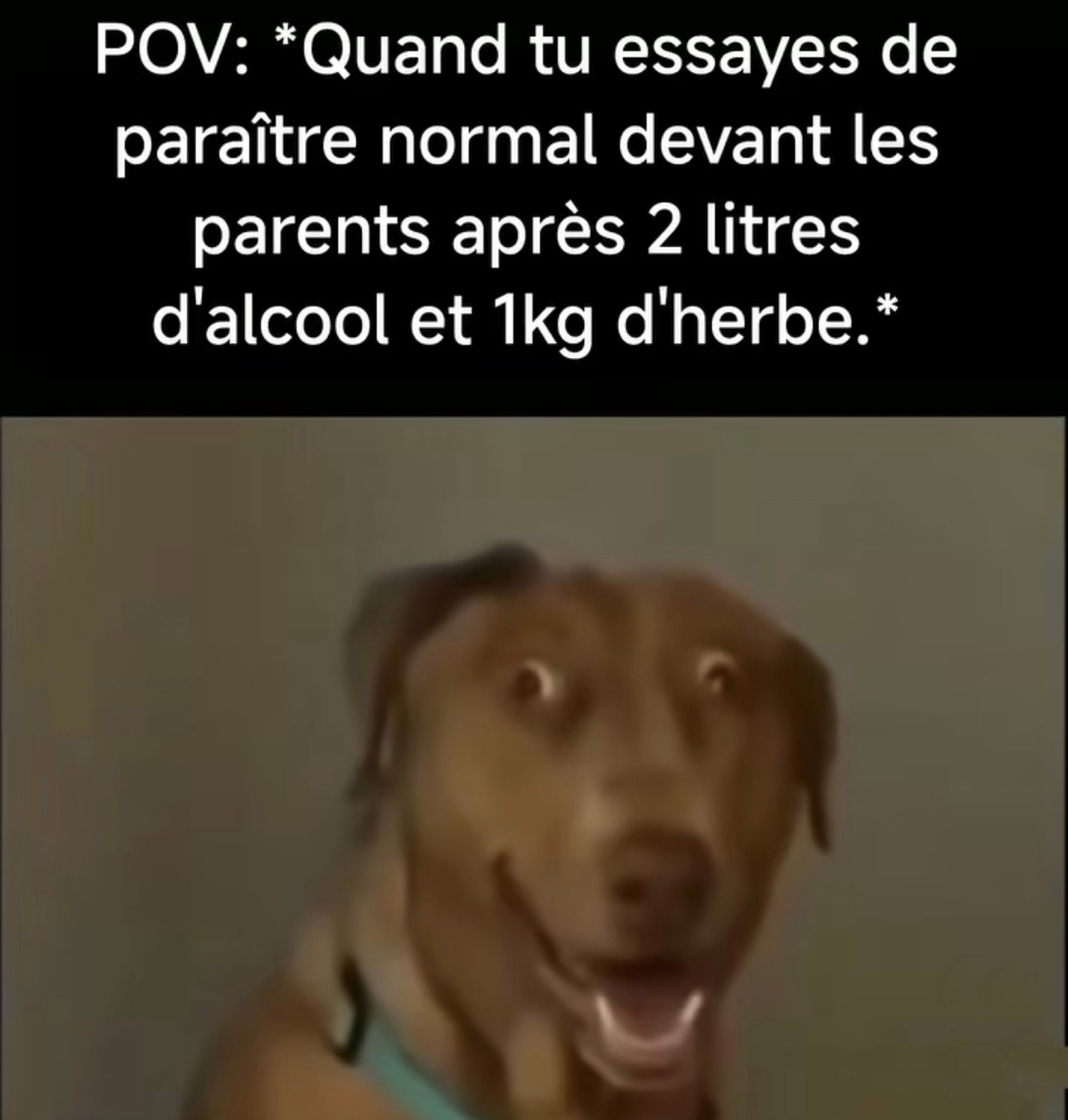 Mode normal activé (presque) - meme