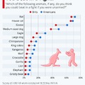 Uk vs USA survey asking which animals could you beat in a fight..: