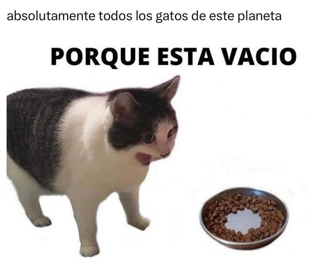 Risa De Gato Pasapalabra Un Gato Ha Provocado Esta Risa A Roberto...