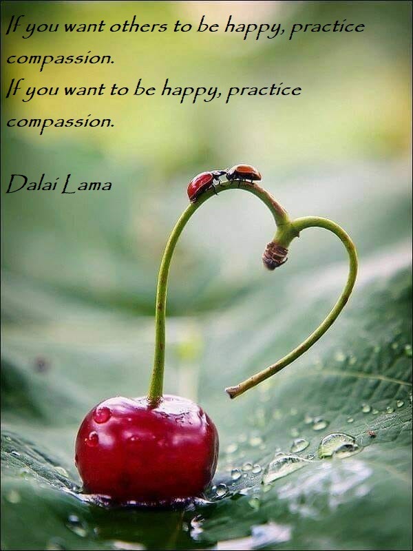 Being Happy - meme
