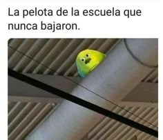 El titulo esta atriba de mi techo - meme