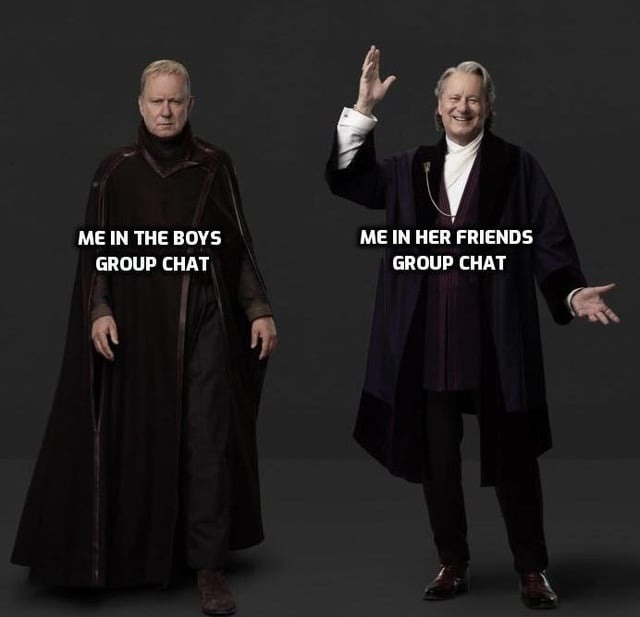 Me in the boys chat vs her friend group chat - meme