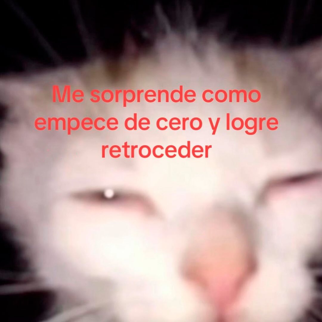 empecé de cero y ya voy pa atrás nivel pro - meme