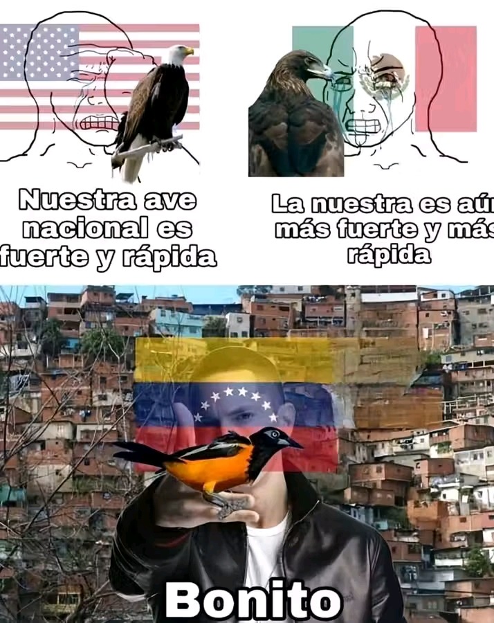 Que bonito pajarito - meme