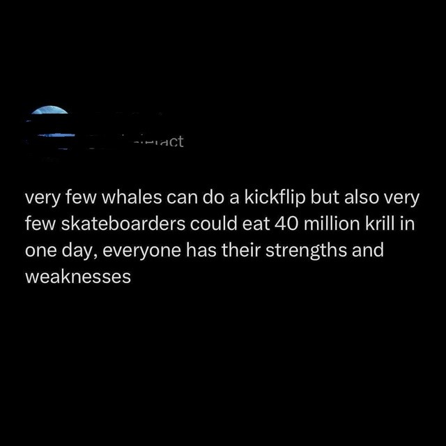 Whales can’t skate and that’s okay - meme