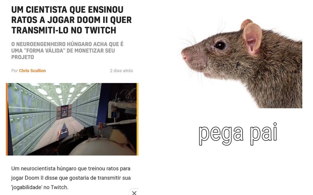 Rato gamer - meme