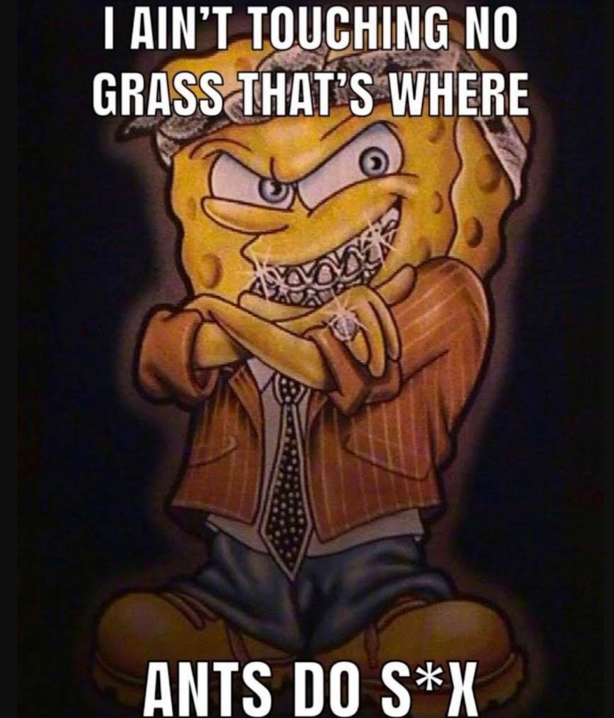 The best Touch Grass memes :) Memedroid