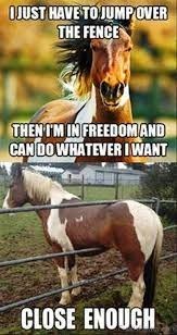 when our horses think they can do it - meme