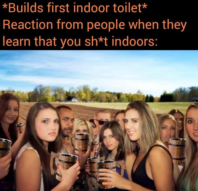 Indoor toilet - meme