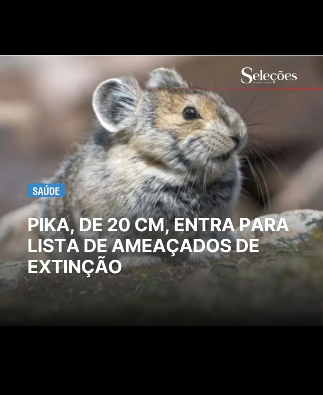 Q comece a era dos heróis de 10cm - meme
