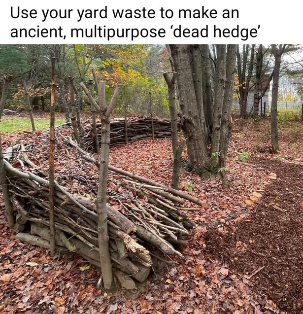 Compost, but make it medieval - meme