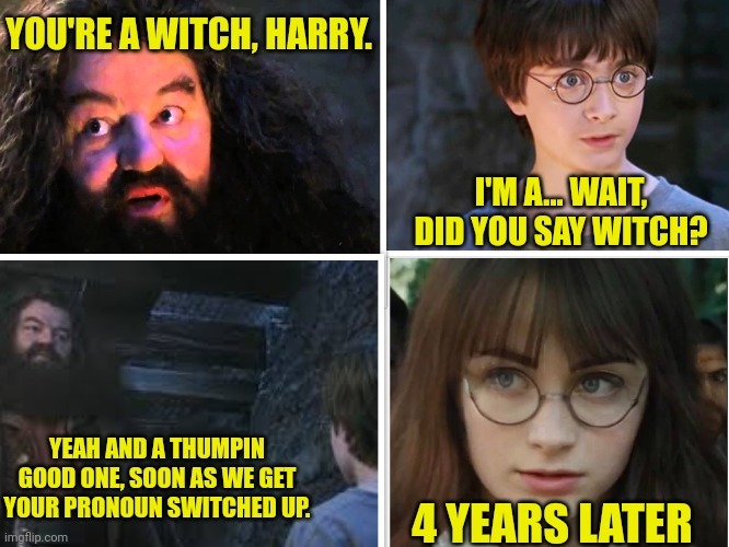 You're a Witch, Harry - meme