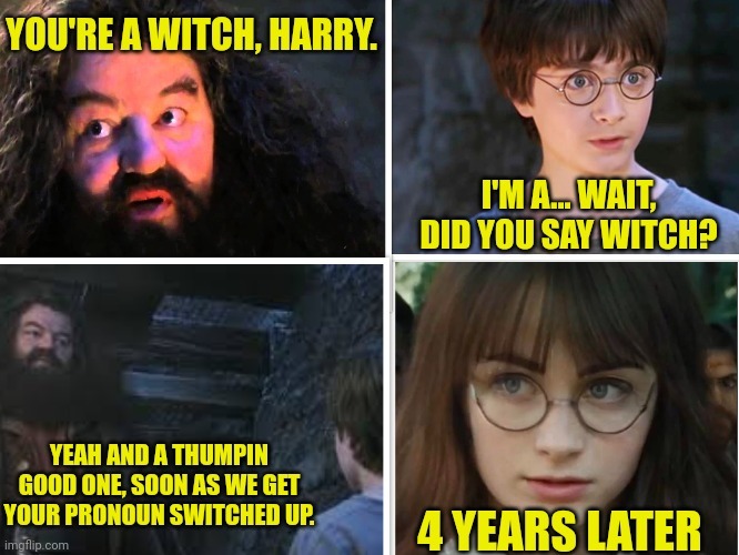 harry potter and hermione Memes & GIFs - Imgflip