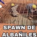 El título no ha spawneado