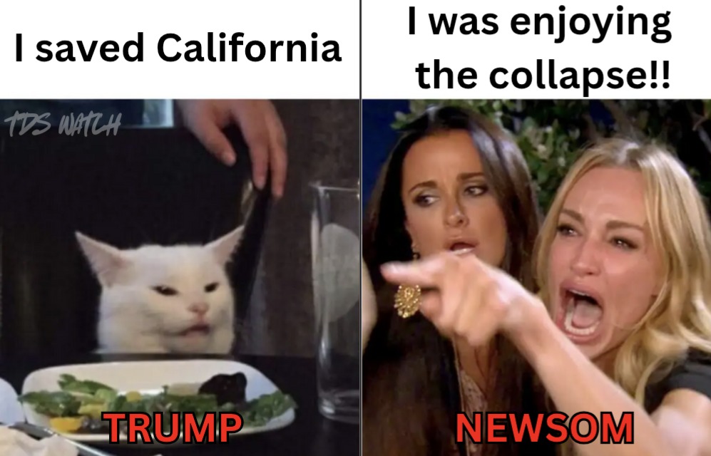 Newsom v. Trump - meme