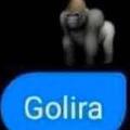 Golira 