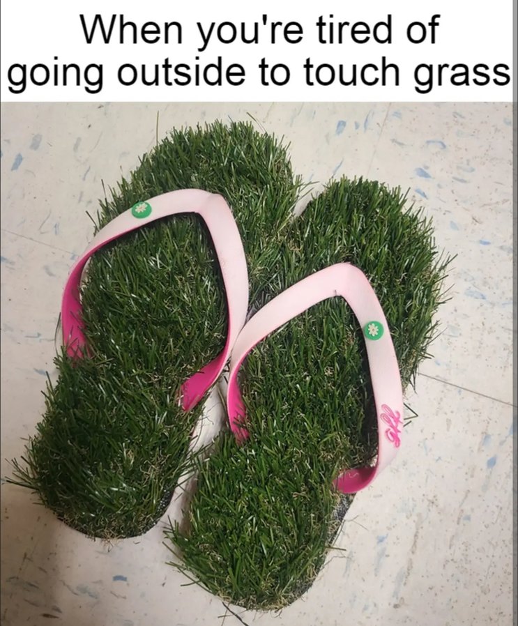 Is the touch grass meme still relevant? : r/garfriends