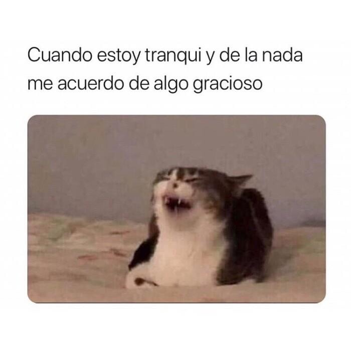 yo cuando me acuerdo cuando - meme