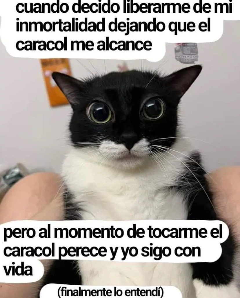 Ojalá la inmortalidad fuese real - meme