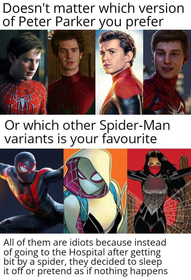 Doesn't matter which spiderman you prefer - meme