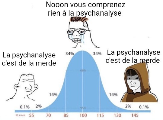Gneu gneu Freud...gneu gneu troisième blessure narcissique de l'humanité...gneu gneu Jung  c'est différent... - meme