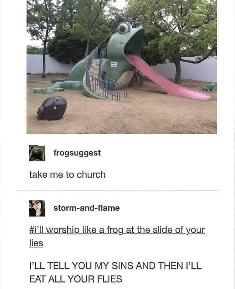 Take me to church, said the frog, then inhaled 40 flies - meme