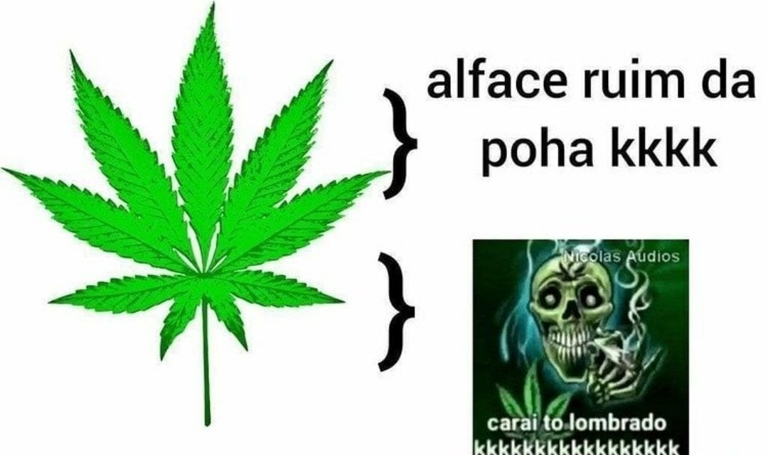 alface - meme