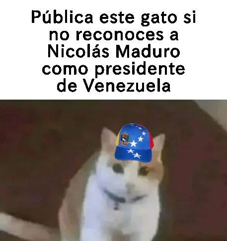 aceptenlo pls - meme