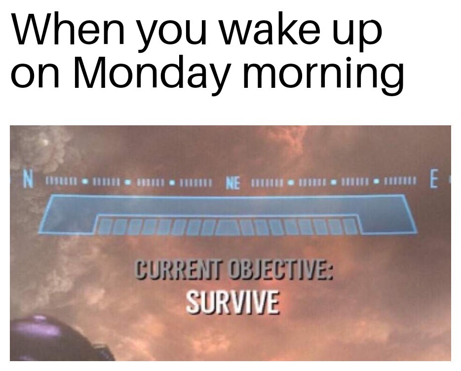 Survival mode - meme