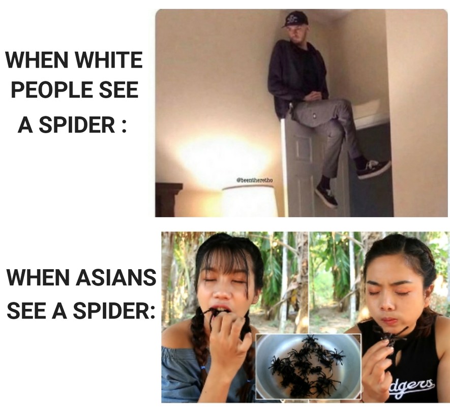 Spider buffet - meme
