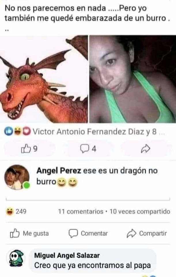 Burro - meme