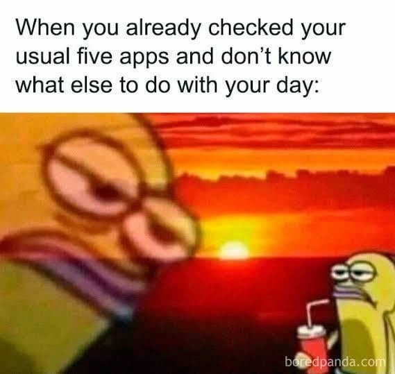 Checked all 5 usual apps. Now what? Stare at wall? - meme