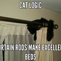 My cat will sleep on the curtain rods, he's that much of a potato