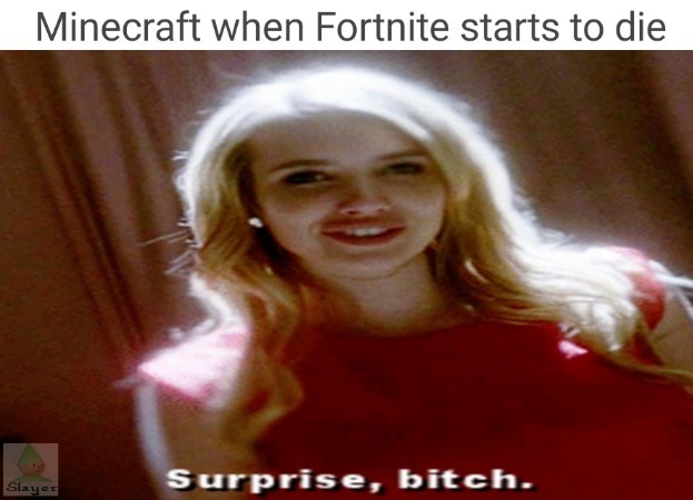 Surprise bitch! - meme