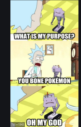 rick and morty pokemon meme