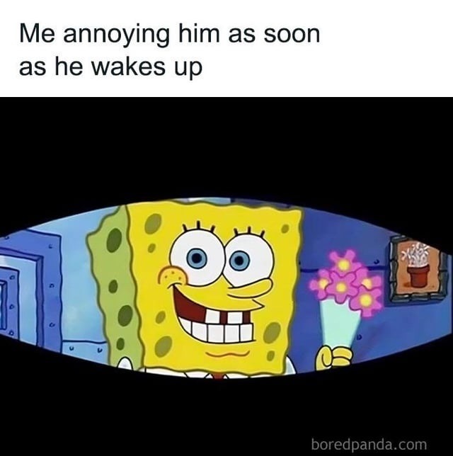 The morning ritual of teasing the one you love - meme