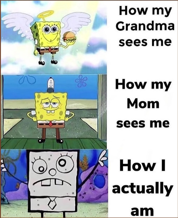 what they see vs what you see - meme