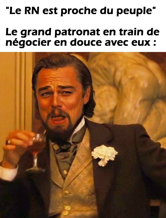 Le RN proche du peuple - meme