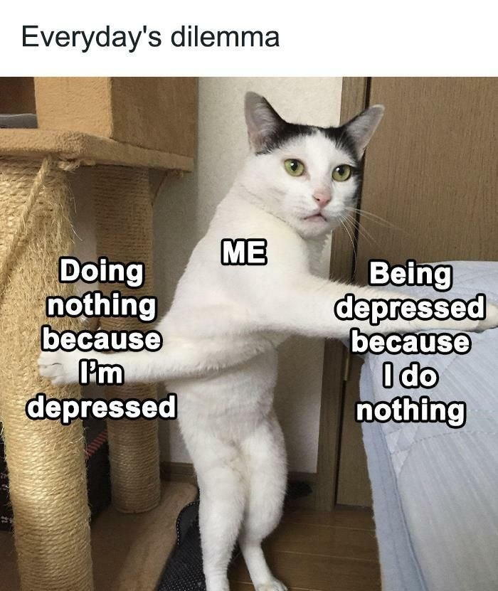 Nothing - meme