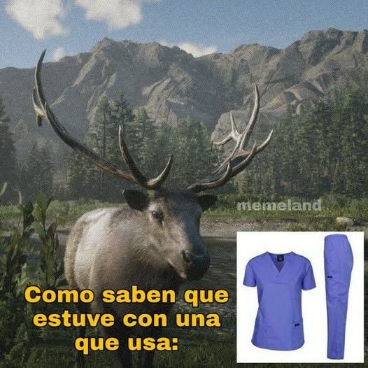 Supieron que estuve con ella solo por su shampoo - meme